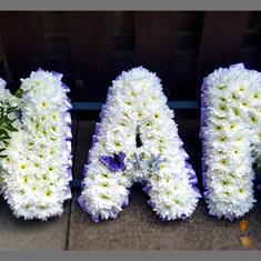 Nan Letters